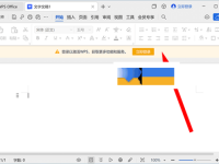 绕过WPS Office登录：轻松解锁所有功能的操作指南